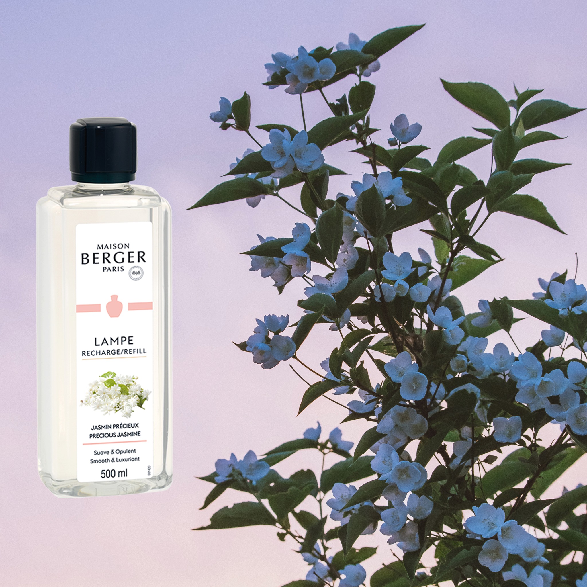 LAMPE BERGER FÜLLUNG MAISON BERGER PRECIOUS JASMINE Aromapunkt